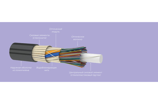 3e7510acd2f611e980bd000c29d70fd6_b9101fd83c1311ec80dd000c29d70fd6