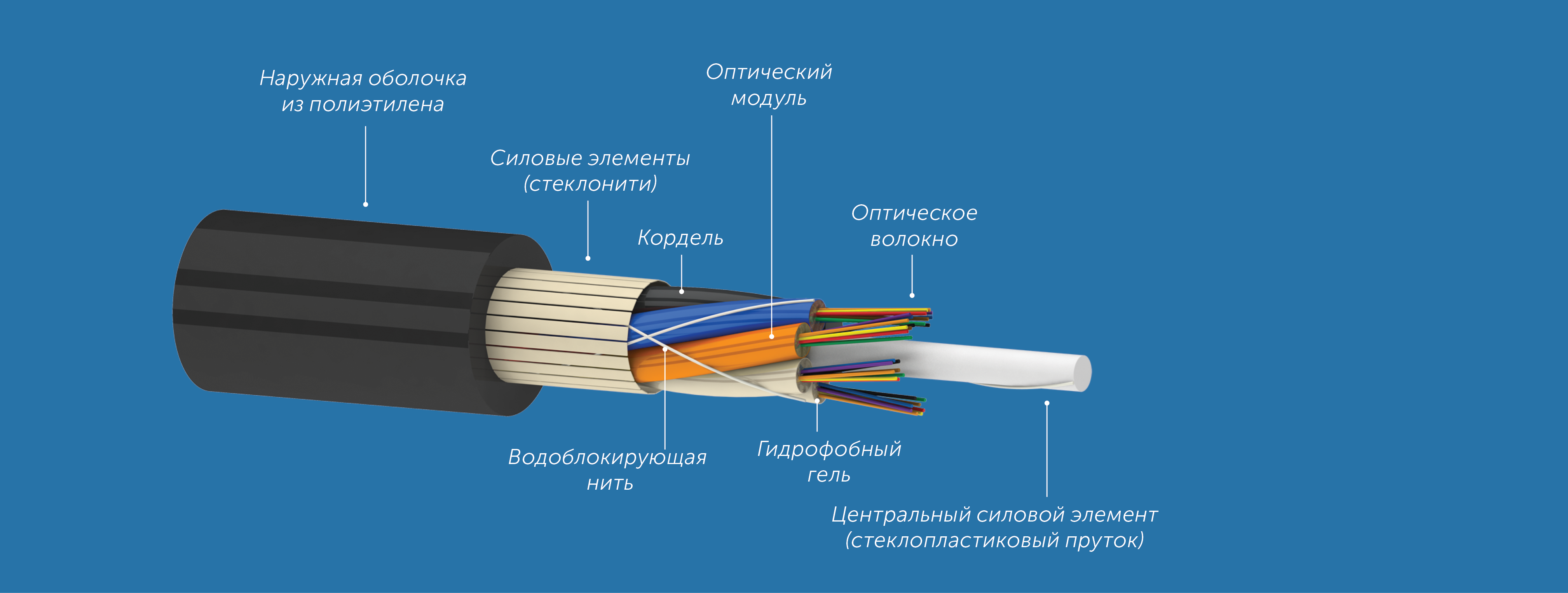 b0a565d8d2e311e980bd000c29d70fd6_cb0af8aa3c1311ec80dd000c29d70fd6