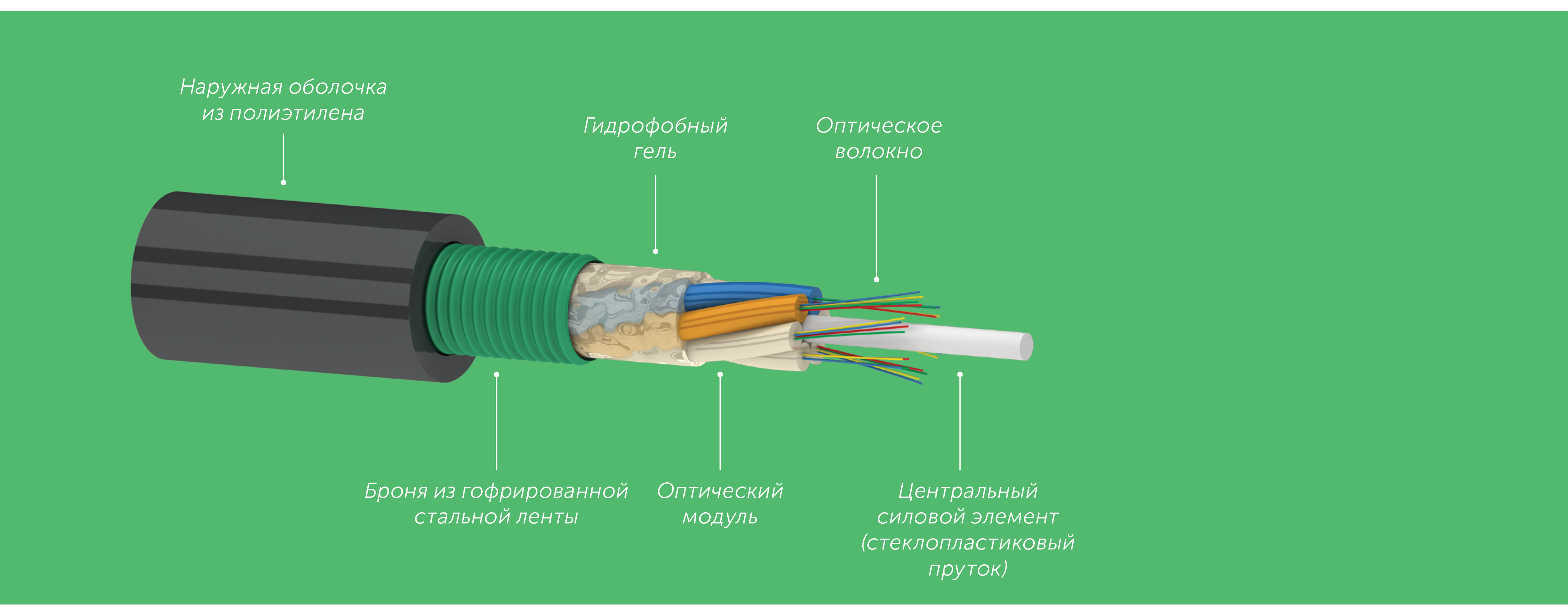 0b48450fcfc611e980bb000c29d70fd6_cb0af8ad3c1311ec80dd000c29d70fd6