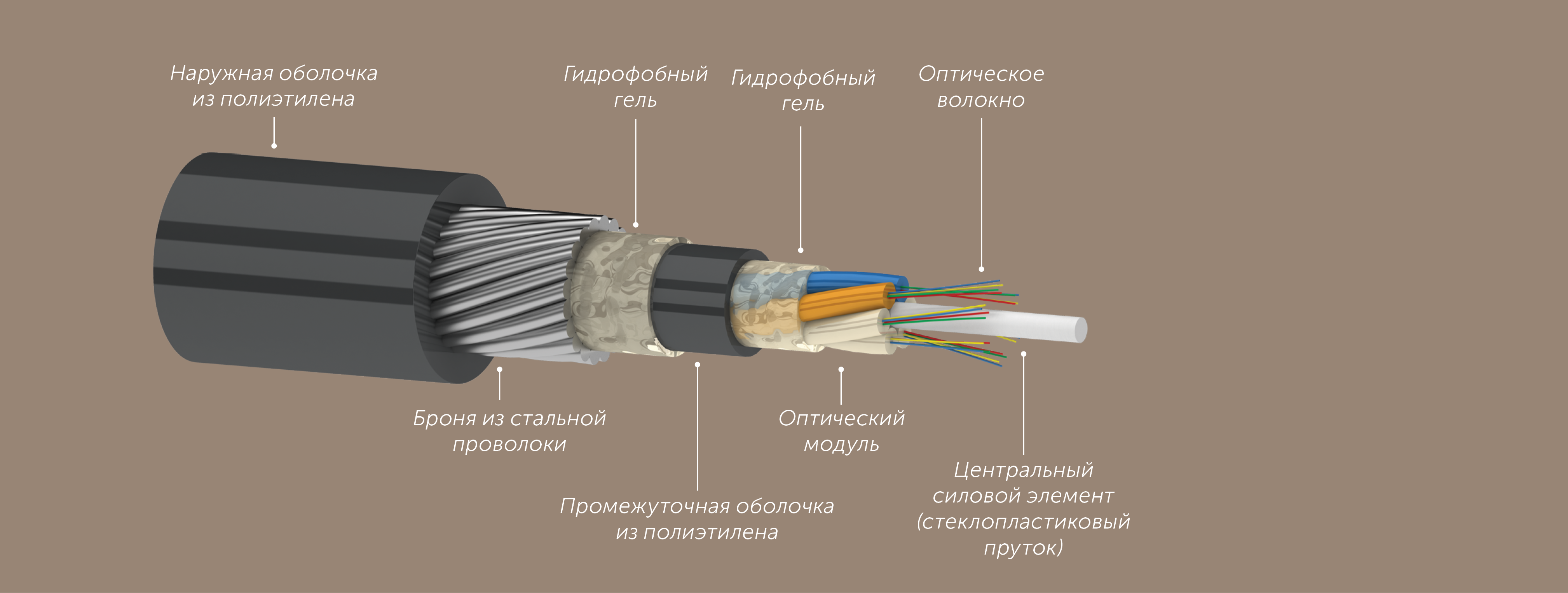 0b4844f1cfc611e980bb000c29d70fd6_d1223c973c1311ec80dd000c29d70fd6